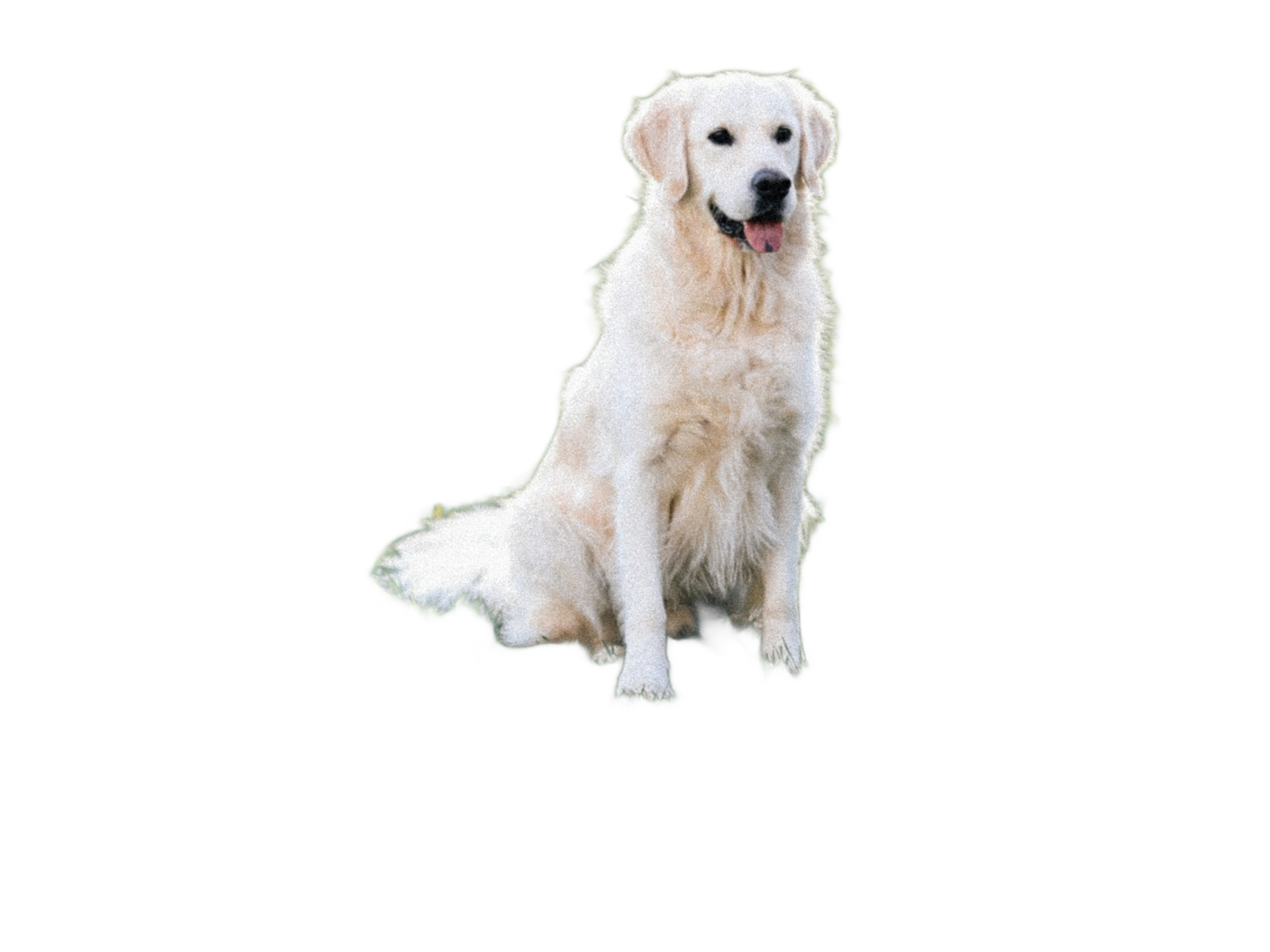 Example with background removed